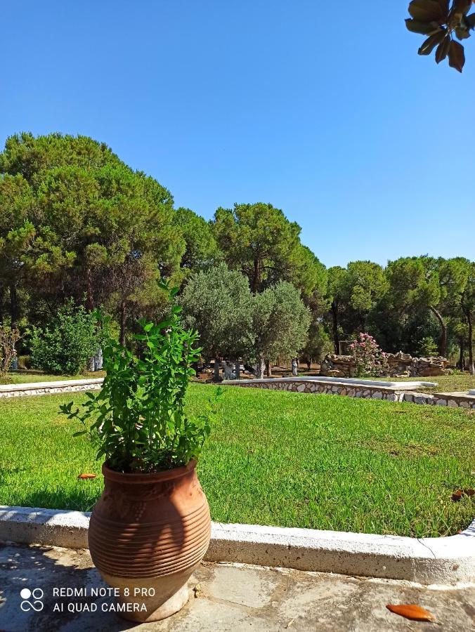 וורוורו Petra Mare Suites מראה חיצוני תמונה